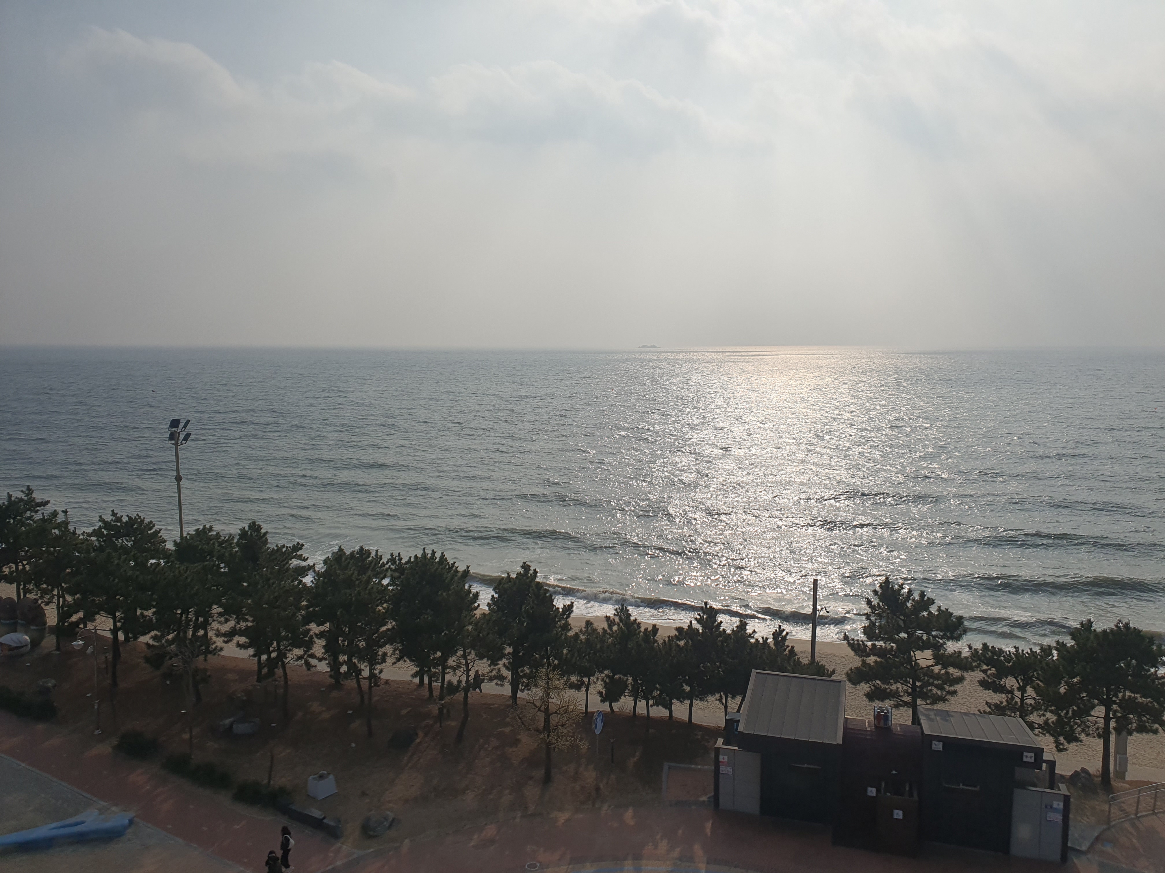 대천 머드비치 호텔