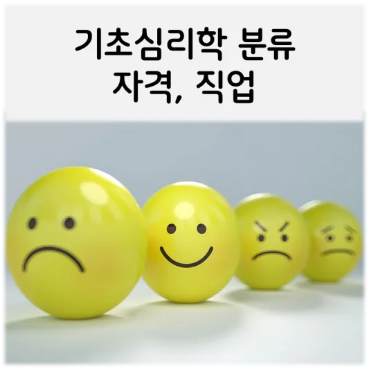  [기초심리학의 분류와 관련된 자격과 업무]
