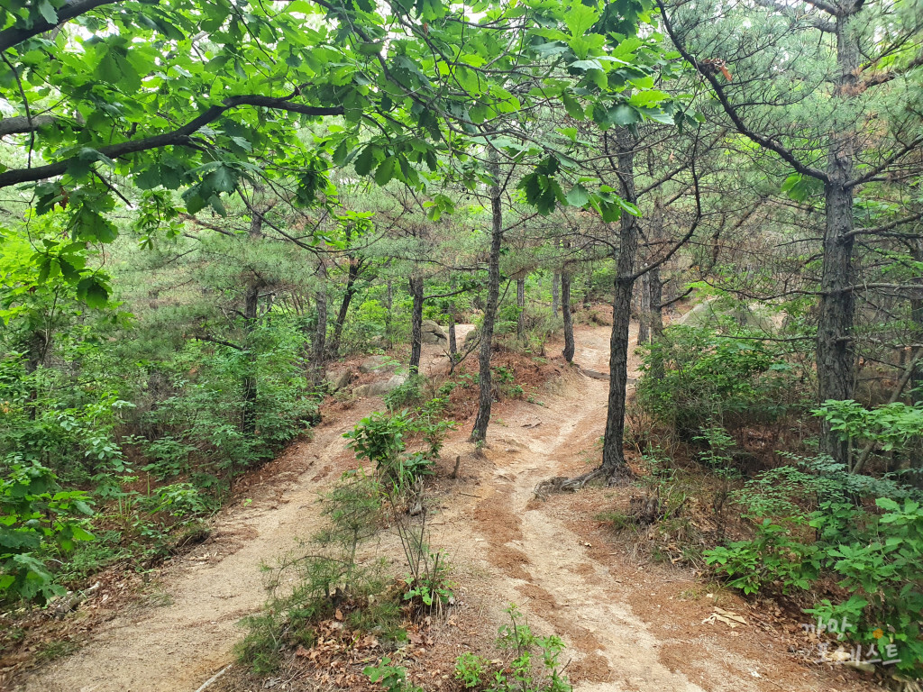 칠보산 등산로