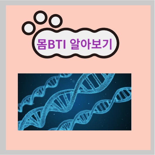 몸BTI란 무엇일까요?