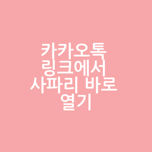  카카오톡 링크에서 사파리 브라우저 열기