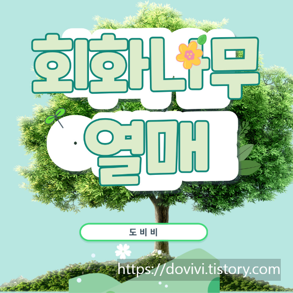  여성 갱년기에 회화나무 열매 추출물 효능