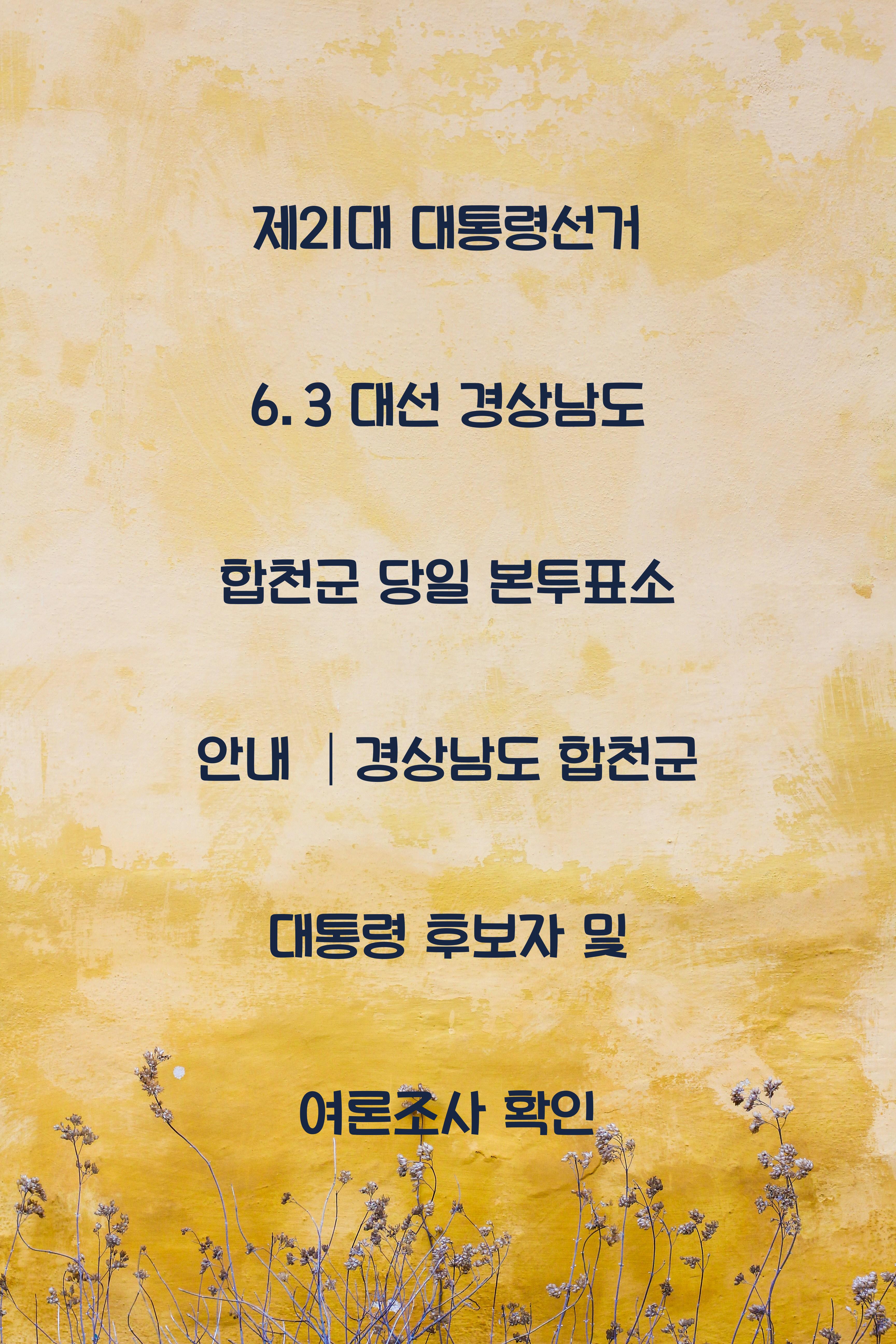 제21대 대통령선거 6.3 대선 경상남도 합천군 당일 본투표소 안내 │경상남도 합천군 대통령 후보자 및 여론조사 확인