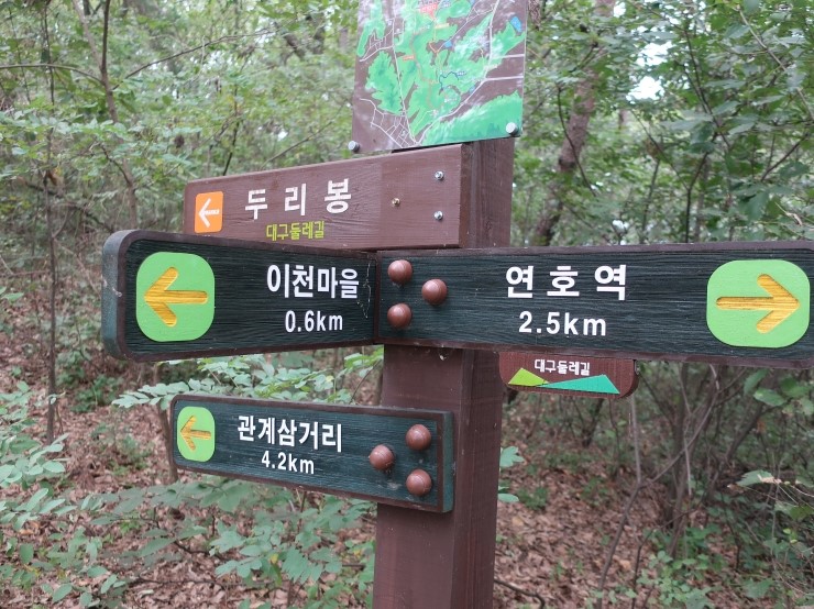  대구 도보 여행 전문 동호회 두리마루 숲길 모객합니다.