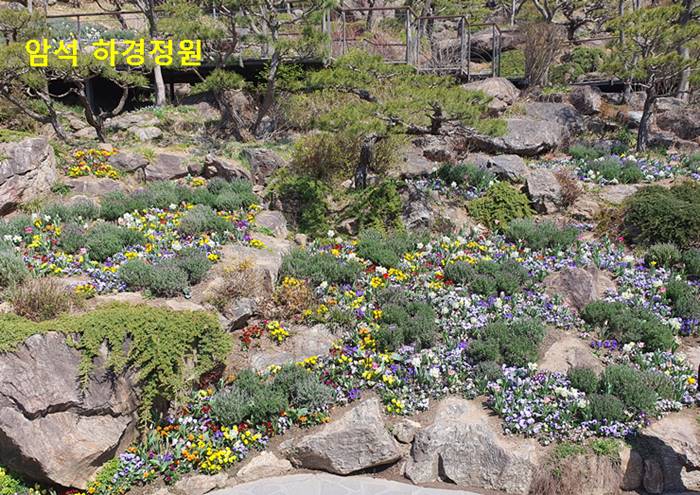 암석 하경정원