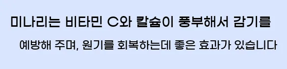  미나리는 비타민 C와 칼슘이 풍부해서 감기를 예방해 주며, 원기를 회복하는데 좋은 효과가 있습니다