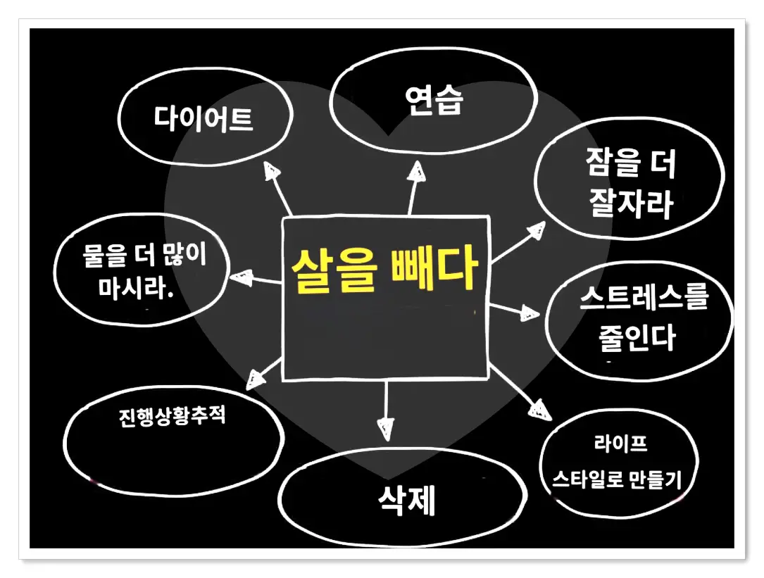 체중 감량 다이어트