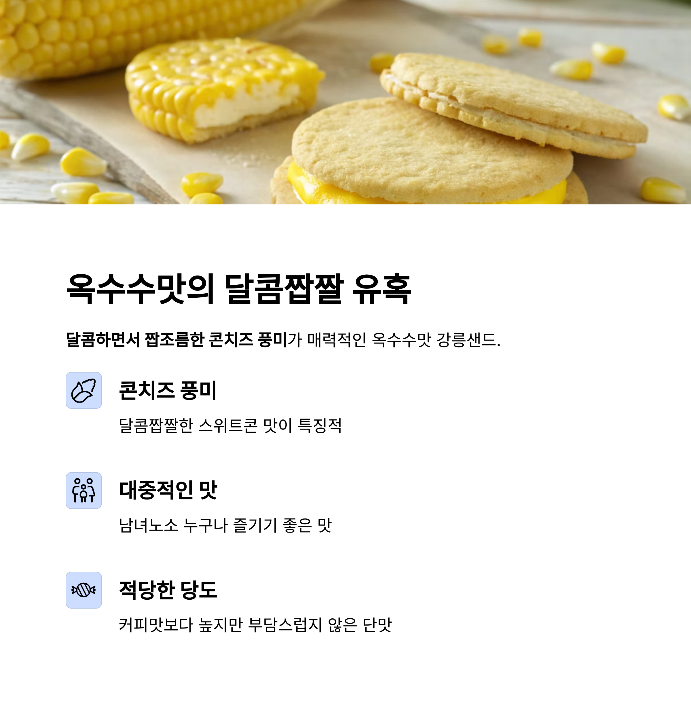 샌드베어 이미지