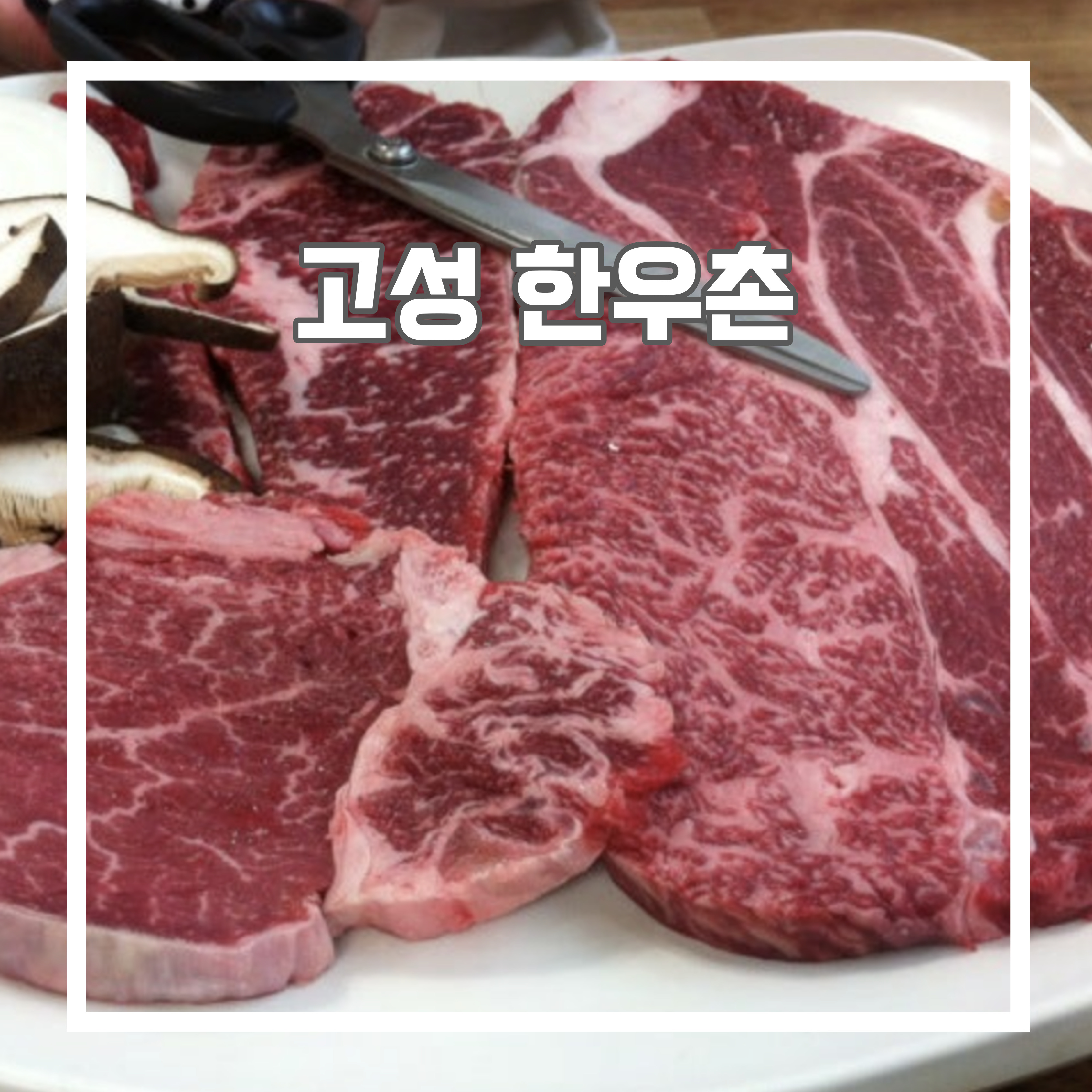  고성 한우촌 방문 후기