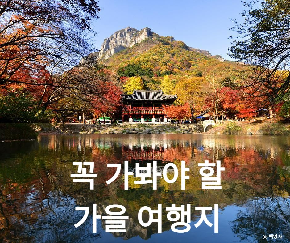  전국 단풍명소 가을여행 추천지 총정리