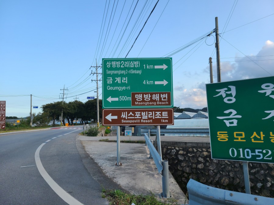삼척여행 CS 포빌리조트를 다녀왔습니다 동해가 전망이 좋은 2