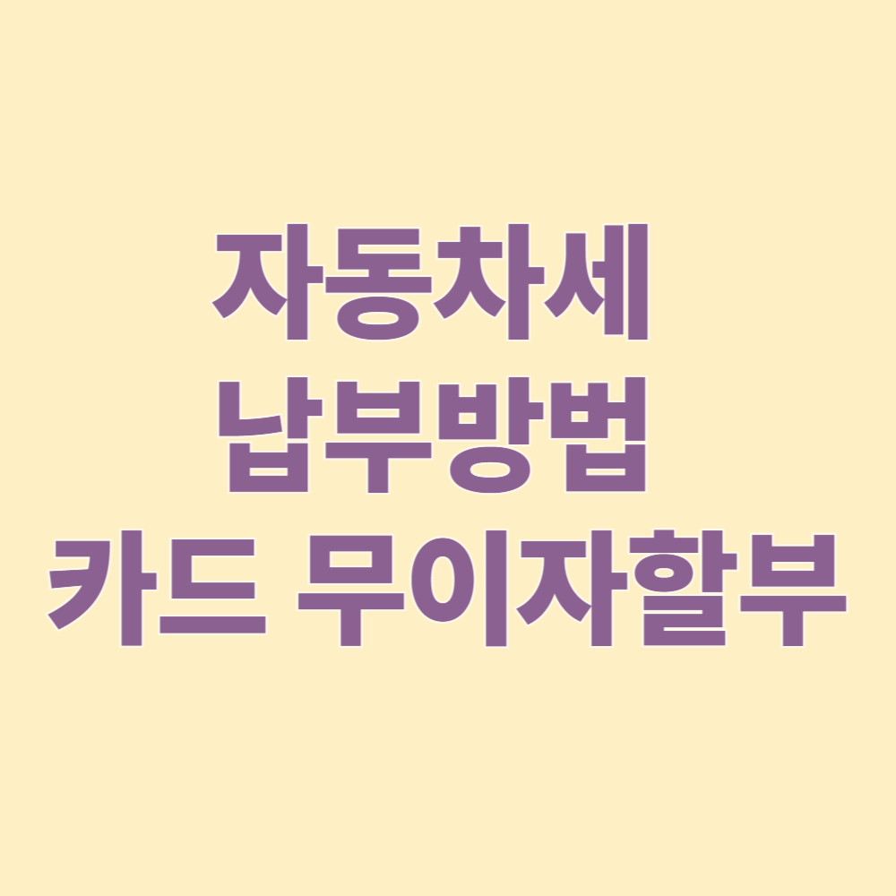 자동차세 납부방법 카드 무이자할부