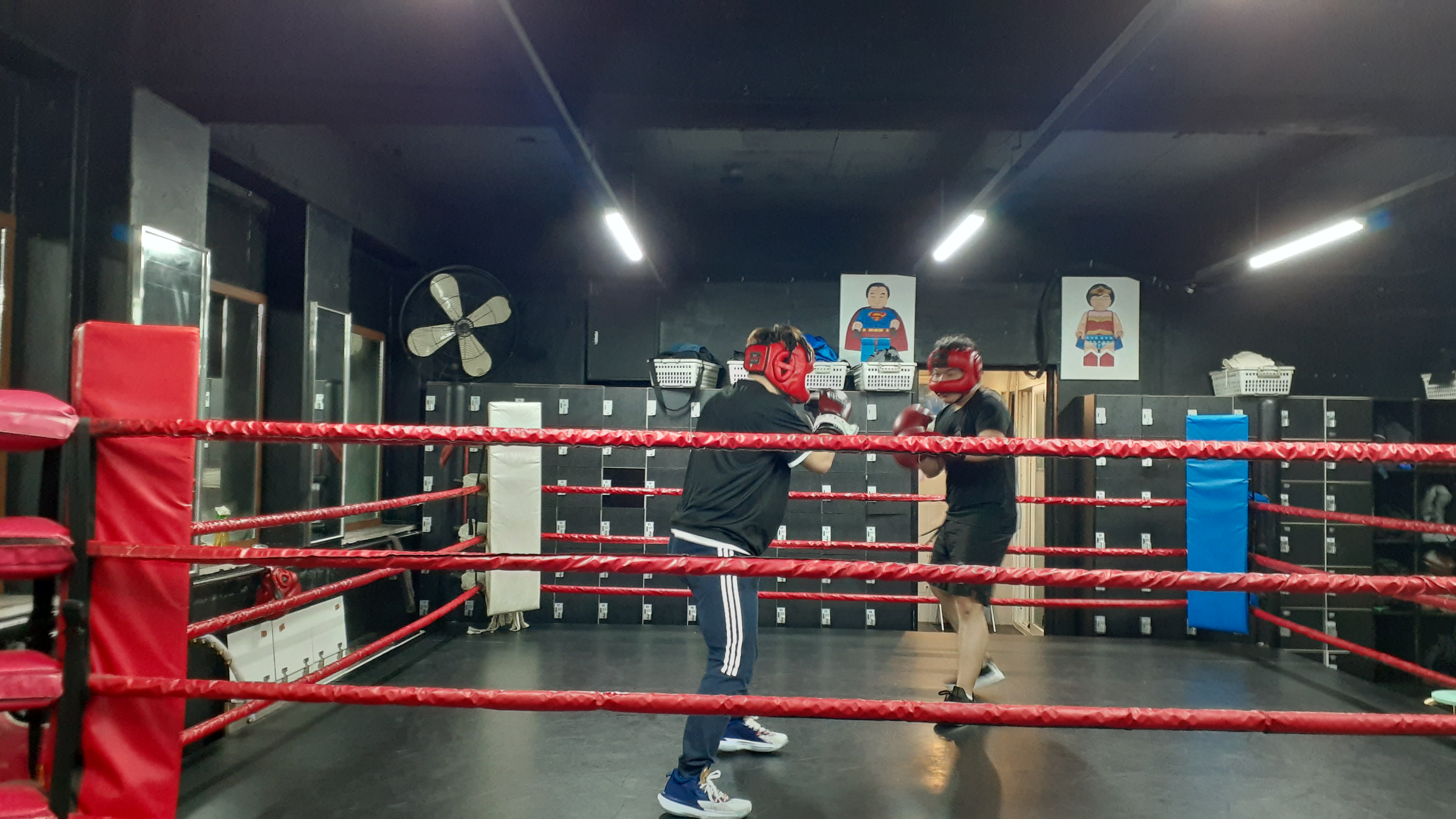 27. 3. 23. 양천구 복싱 대한복싱체육관 신정동 복싱 목동 복싱 신월동 복싱 경찰 무도 자격증 56