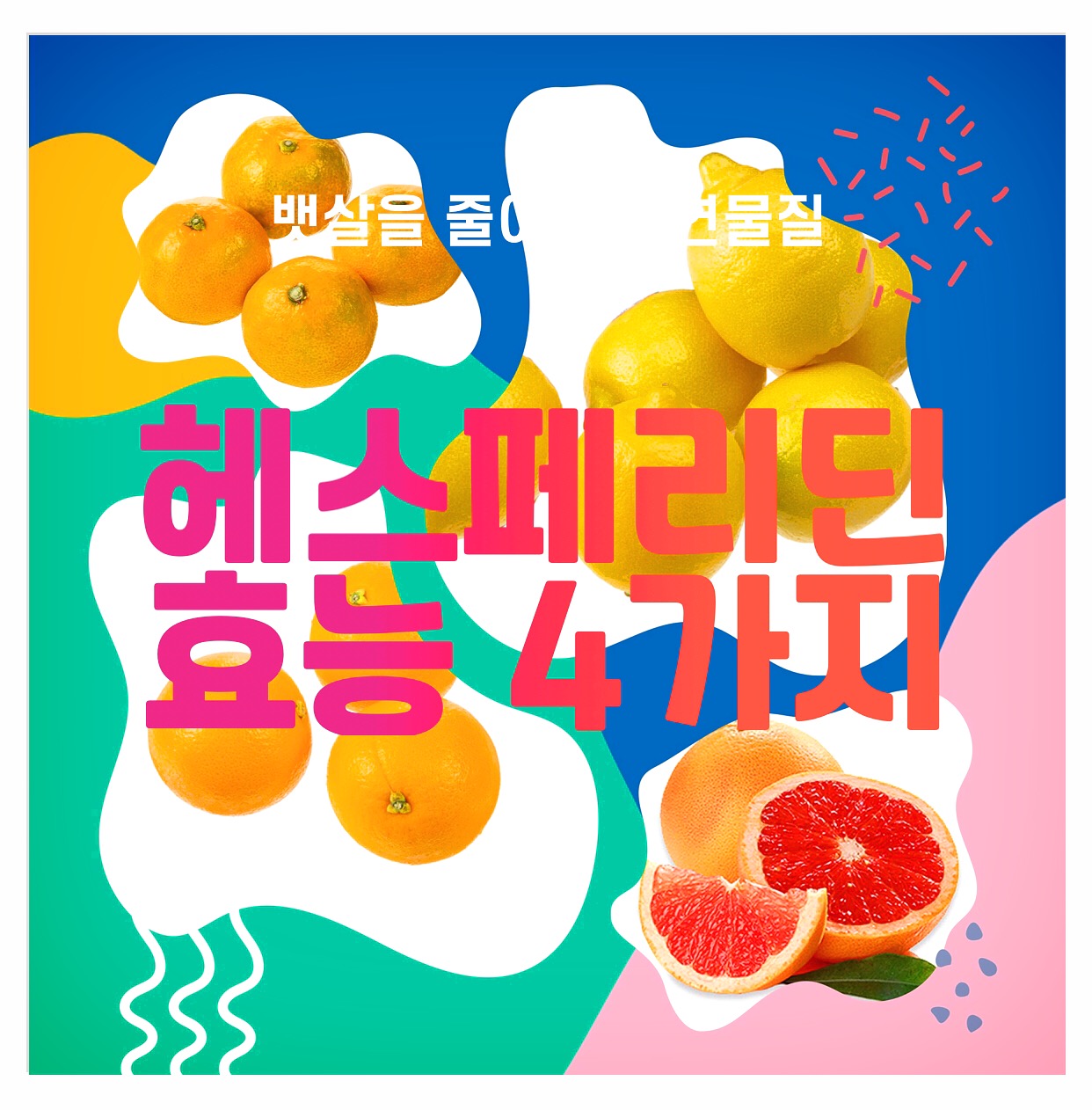  뱃살을 줄이는 천연물질 헤스페리딘 효능 4가지