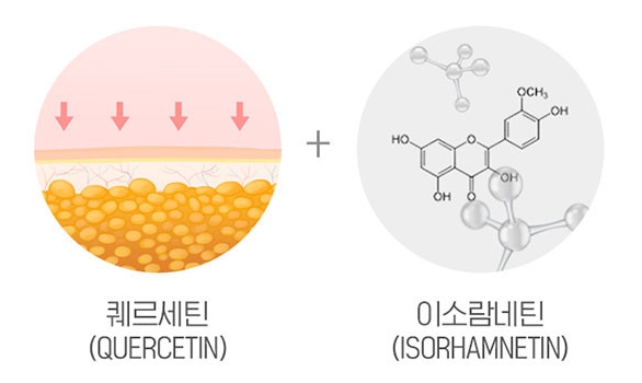 시서스가루-핵심-성분-안내