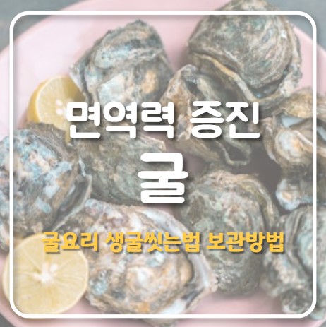 면역력 증진 굴