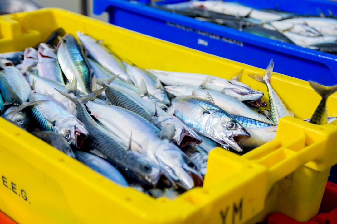 Fish market