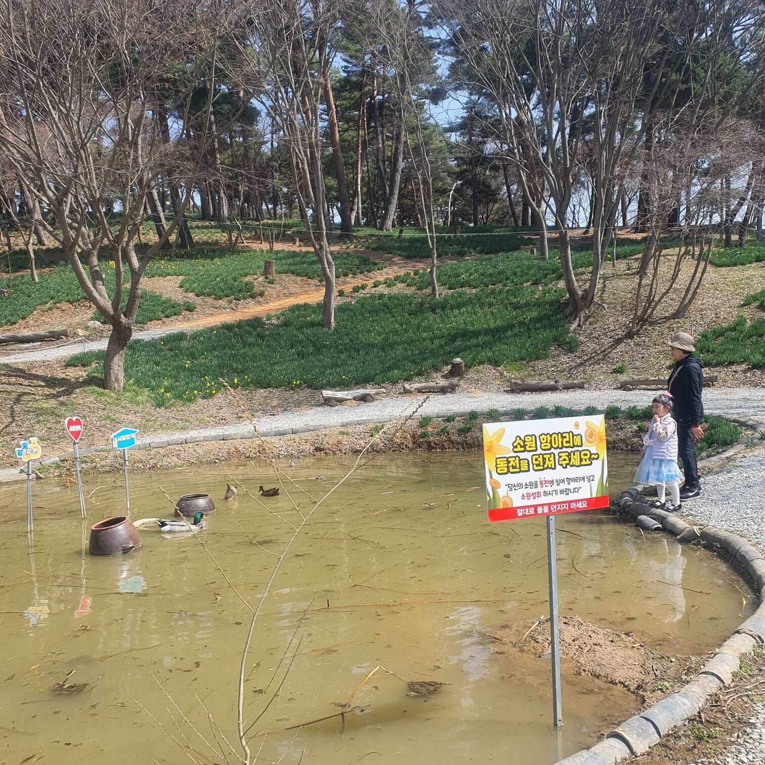 버려진 집 연못 오리