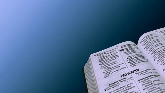 잠언 3장 5절 읽기 - 너는 마음을 다하여 여호와를 신뢰하고 네 명철을 의지하지 말라_2