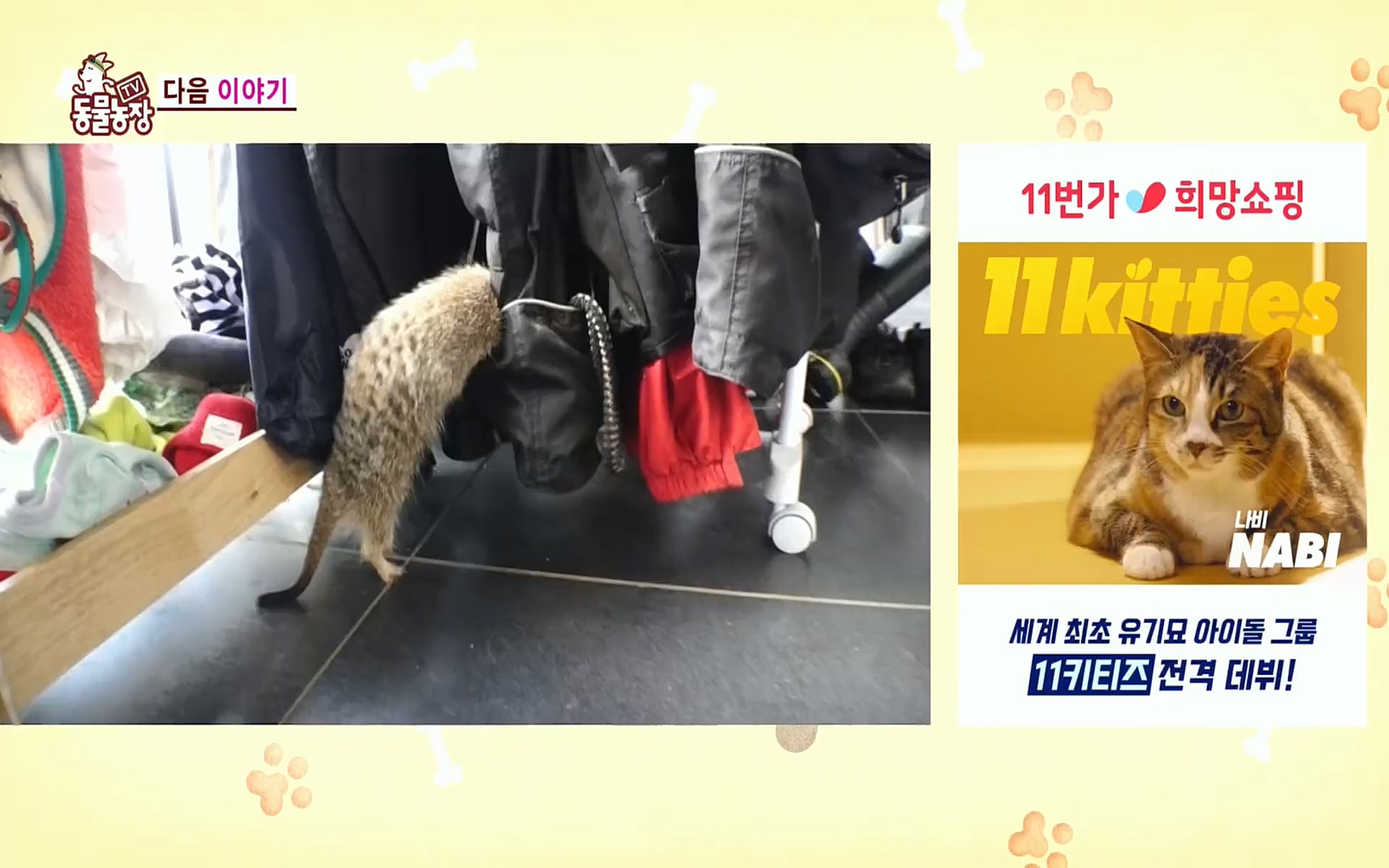 TV 동물농장.E1078.220717p.H264-F1RST.mp4_20220717_151208.585.jpg