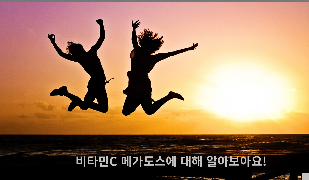 비타민c 메가도스