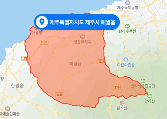 제주시 애월읍 평화로 차량 충돌사고 사망사건 (2020년 11월 21일)