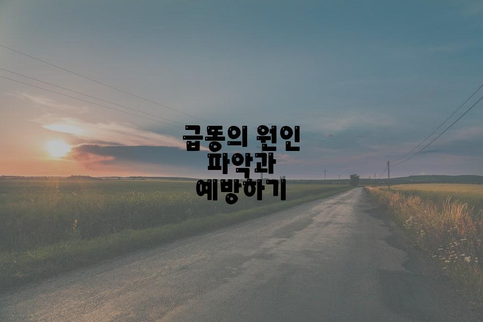 급똥의 원인 파악과 예방하기