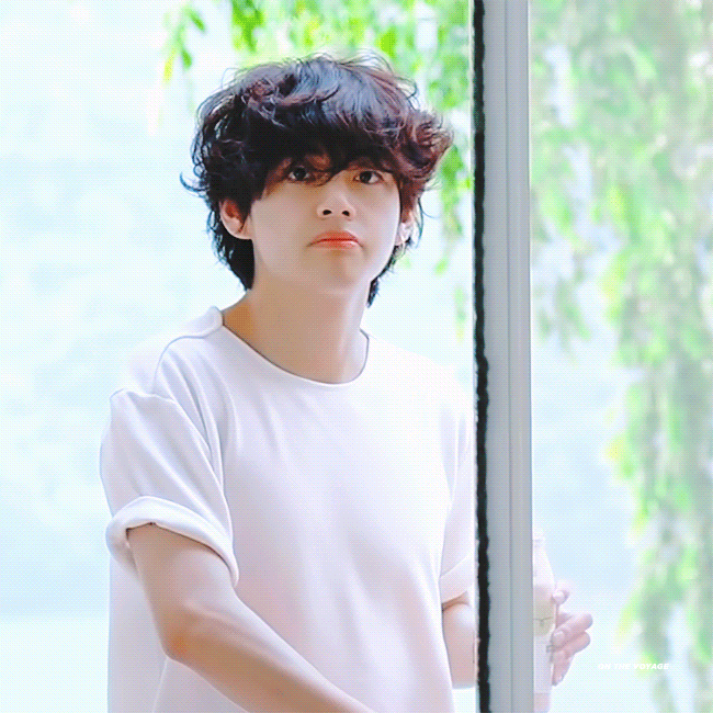  방탄소년단 인더숲 InTheSoop 모닝태형