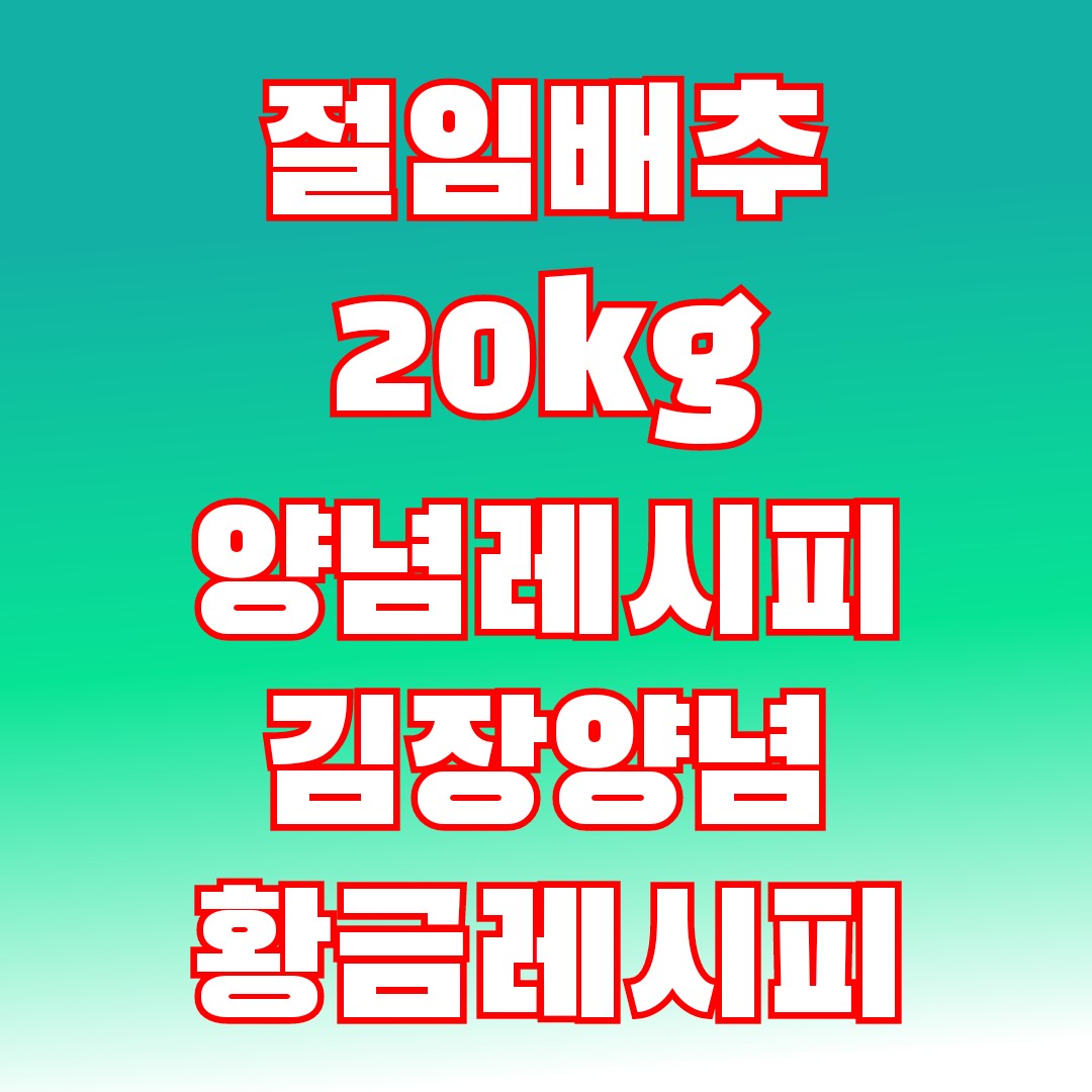 김장김치황금레시피