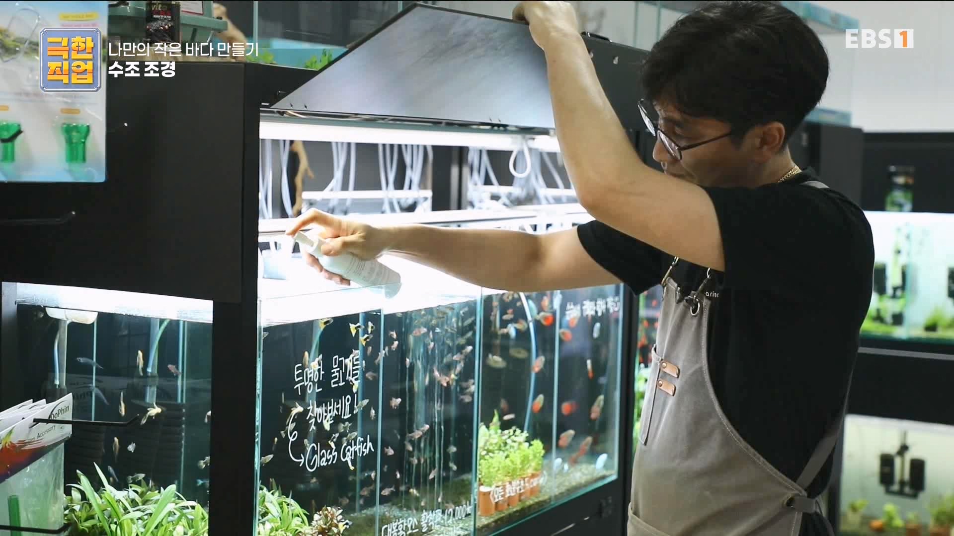 [극한 직업] 수조 조경.mp4_20230822_204228.672.jpg
