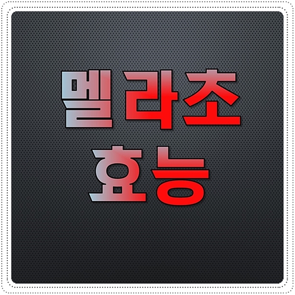  멜라초 효능 알고먹는 꿀팁