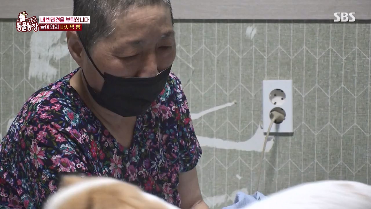 TV 동물농장.E1174.240603p-NEXT.mp4_20240602_155744.380.jpg