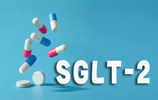 신약 SGLT-2