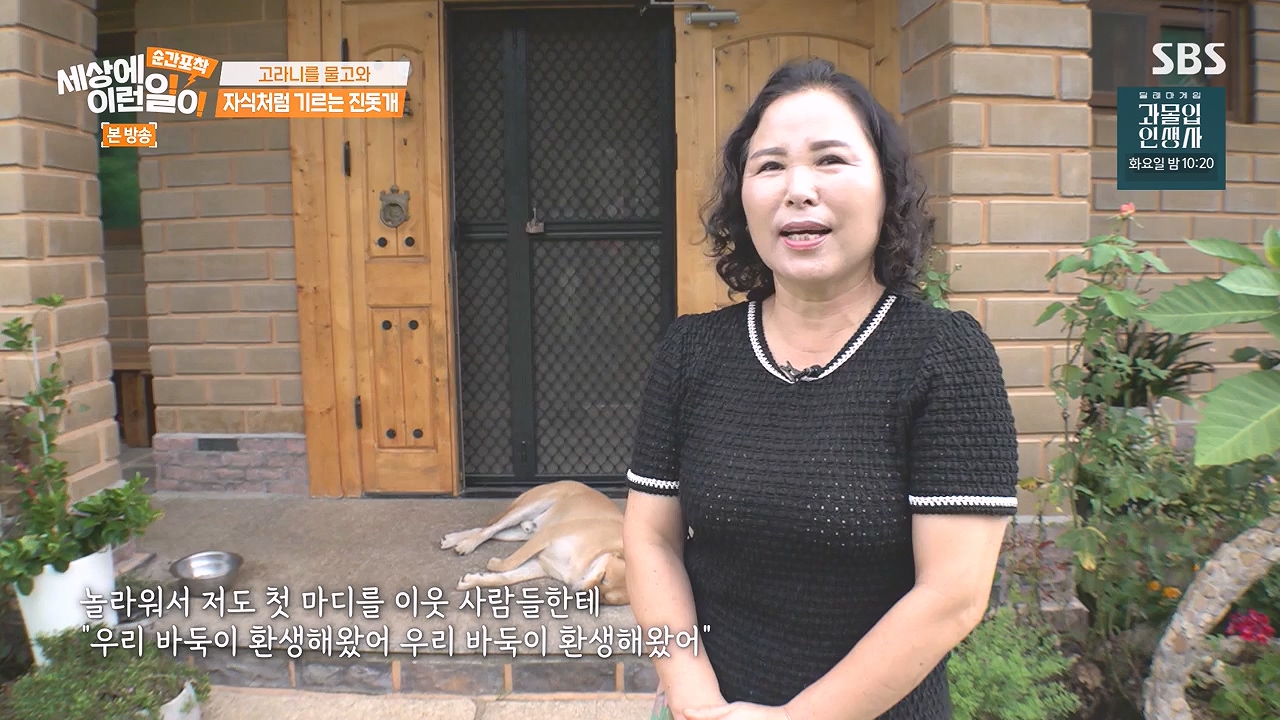순간포착 세상에 이런일이.E1244.230903p-NEXT.mp4_20230903_170532.542.jpg
