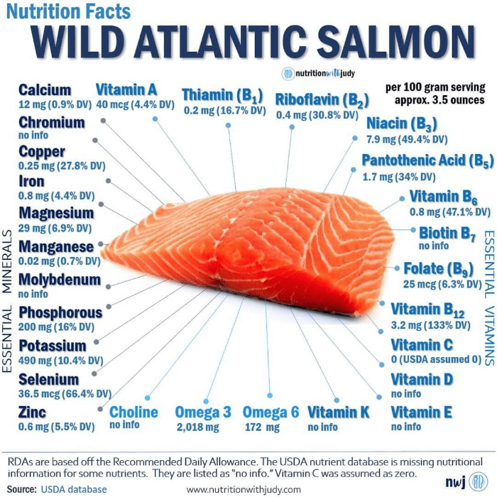 연어 Salmon
