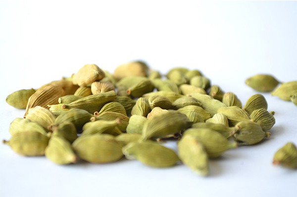  카르다몸(=카더멈,Cardamom Oil) 에센셜 오일로 반려묘 아로마 테라피