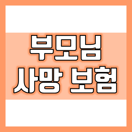  노인보험 가입 시 부모님 사망보험 추천 상품도 비교해 볼 필요가 있어요.