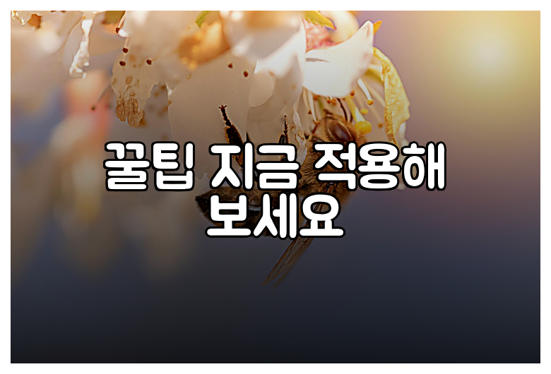 꿀팁 지금 적용해 보세요