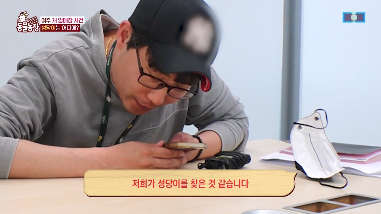TV 동물농장.E1122.230529p-NEXT.mp4_20230528_170310.166.jpg