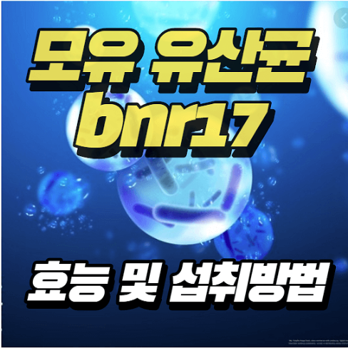  모유 유산균 bnr17 효능 과 먹는 방법