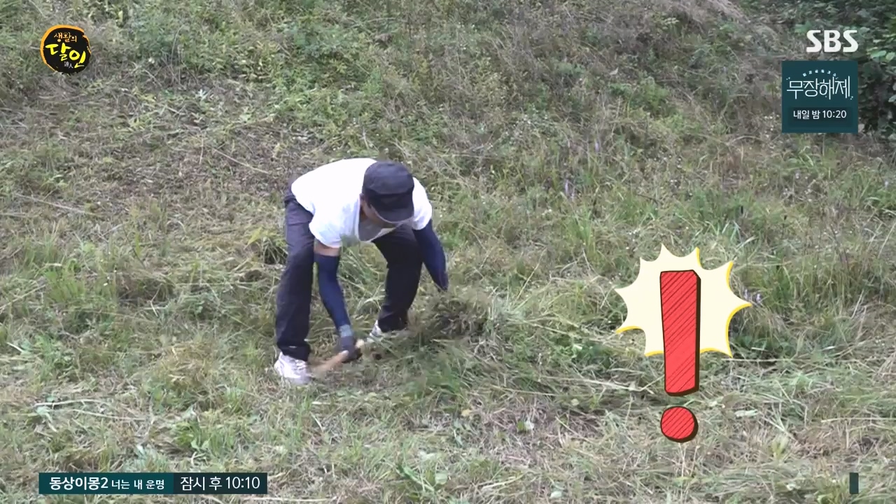 생활의 달인.E903.230829p-NEXT.mp4_20230829_202347.536.jpg