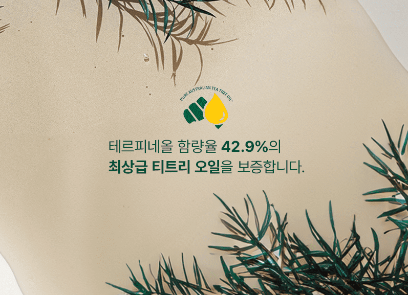 티트리 이미지