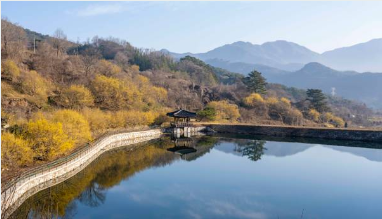 구례 산수유축제 일정