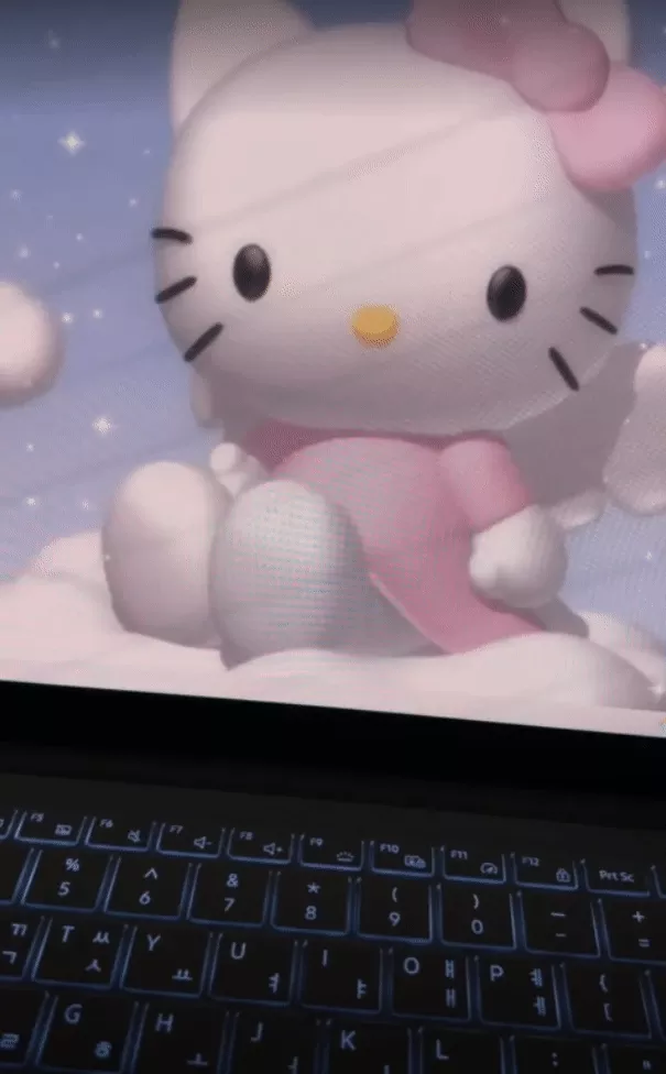 플리커 플리커