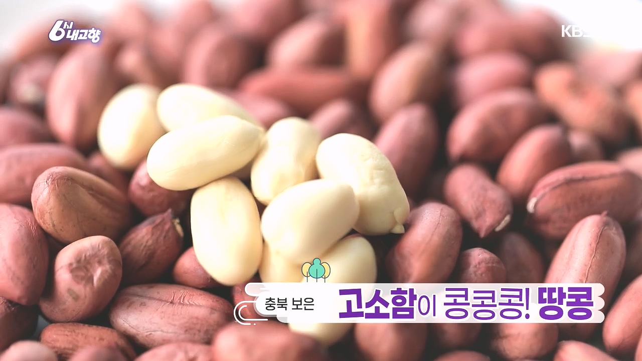 6시 내고향.E7892.231018p.H264-F1RST.mp4_20231018_192010.706.jpg