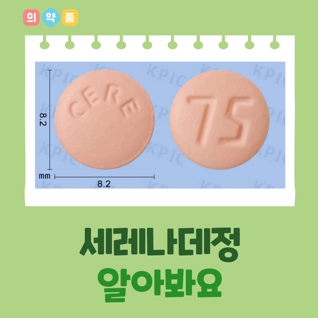 정 이미지