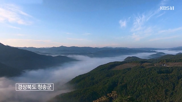 동네 한 바퀴.E228.230618p-NEXT.mp4_20230621_213512.349.jpg