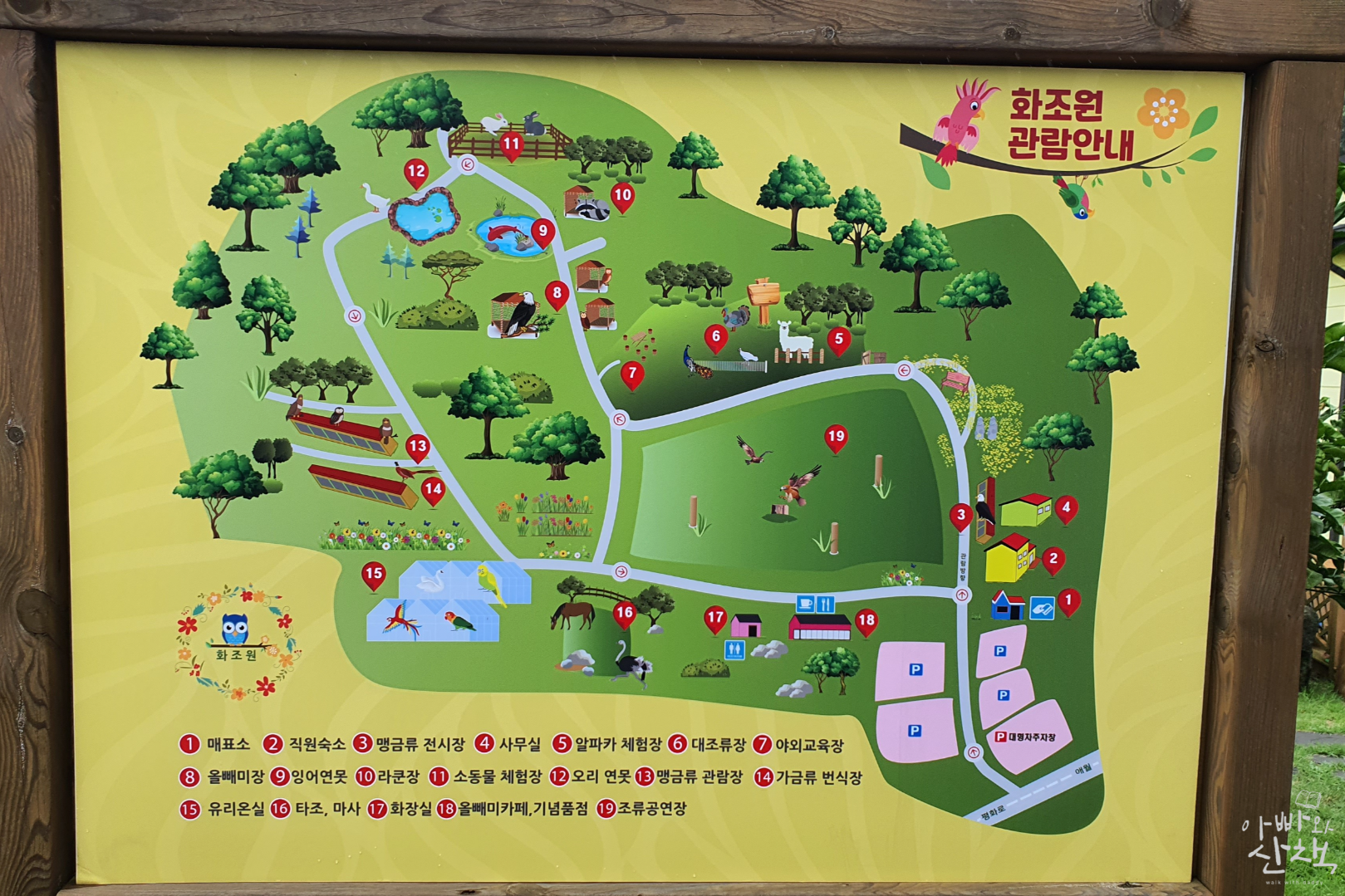 화원 - 독수리와 부엉이부터 귀여운 잉꼬와 알파카까지 모두 만날 수 있는 새 테마파크 3