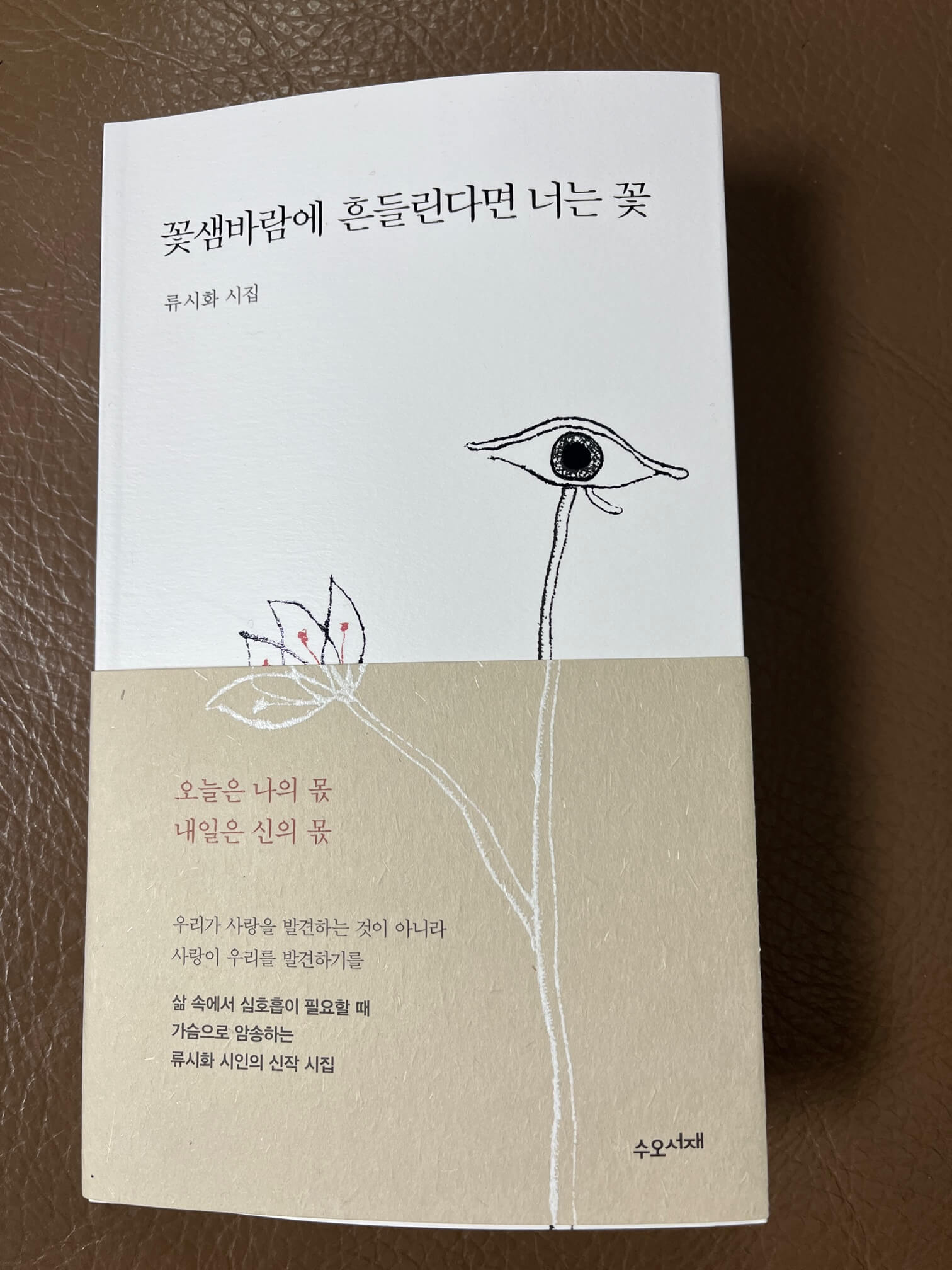 꽃샘바람에 흔들린다면 너는 꽃 책표지