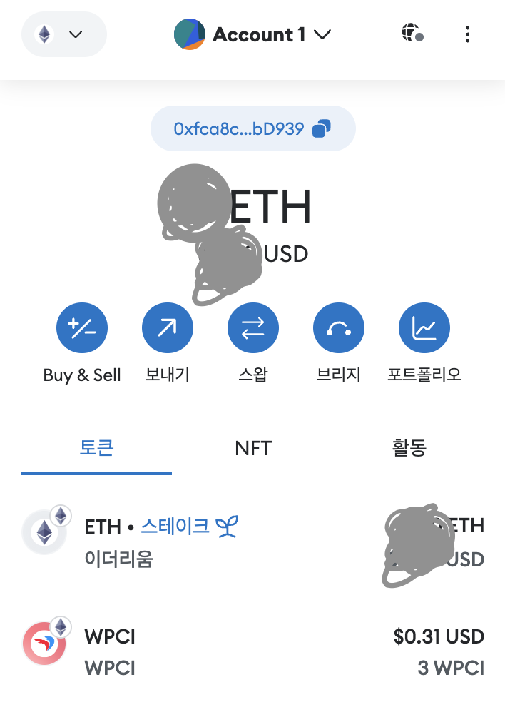 메타마스크-wPCI-보유현황
